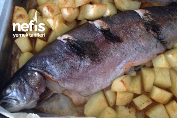 Fırında Soman Balığı (Etüve Pişirme) Ve Sarımsaklı Pide